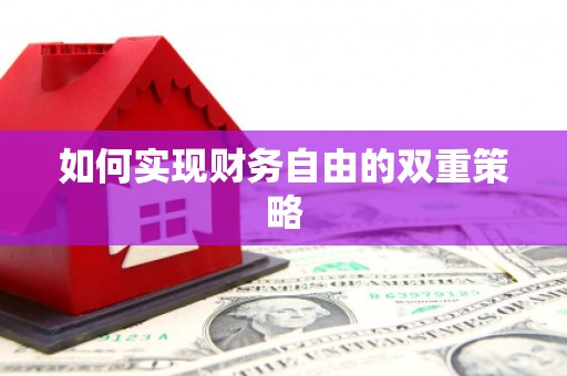 海晏如何实现财务自由的双重策略