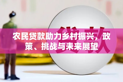 海晏农民贷款助力乡村振兴，政策、挑战与未来展望