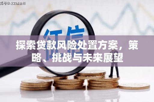 海晏探索贷款风险处置方案，策略、挑战与未来展望