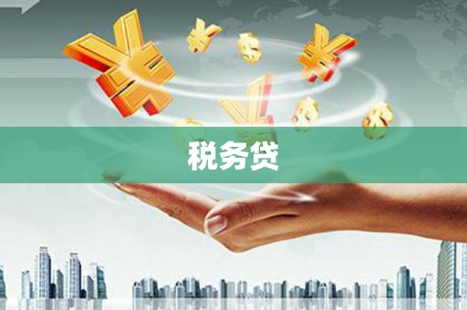 海晏税务贷