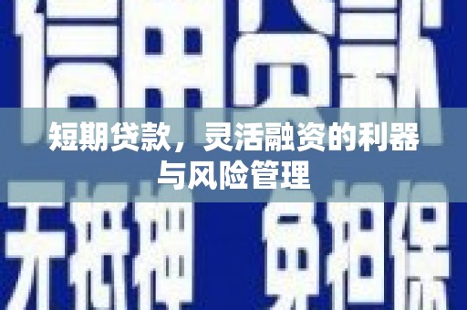 海晏短期贷款，灵活融资的利器与风险管理