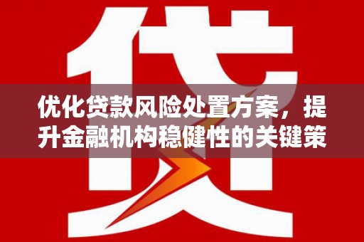 海晏优化贷款风险处置方案，提升金融机构稳健性的关键策略