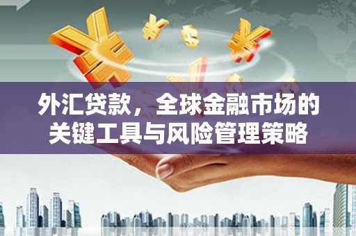 海晏外汇贷款，全球金融市场的关键工具与风险管理策略
