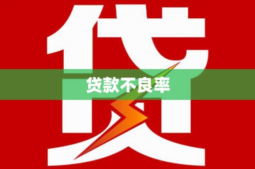海晏贷款不良率