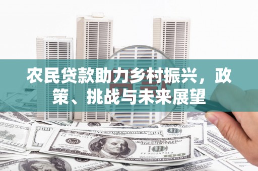 海晏农民贷款助力乡村振兴，政策、挑战与未来展望