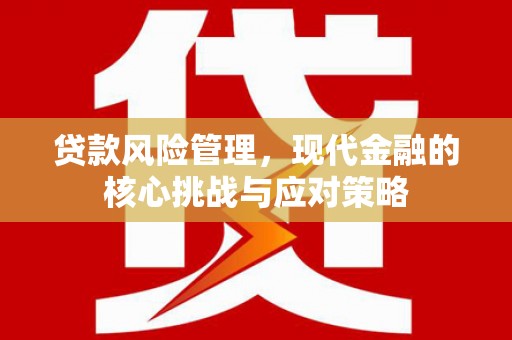 海晏贷款风险管理，现代金融的核心挑战与应对策略
