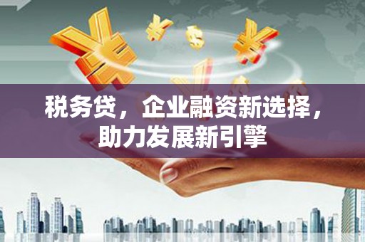 海晏税务贷，企业融资新选择，助力发展新引擎