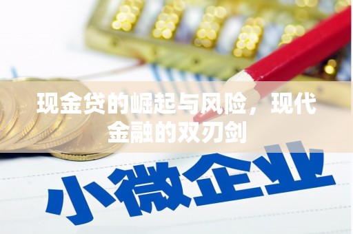 海晏现金贷的崛起与风险，现代金融的双刃剑