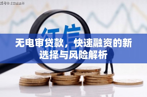海晏无电审贷款，快速融资的新选择与风险解析