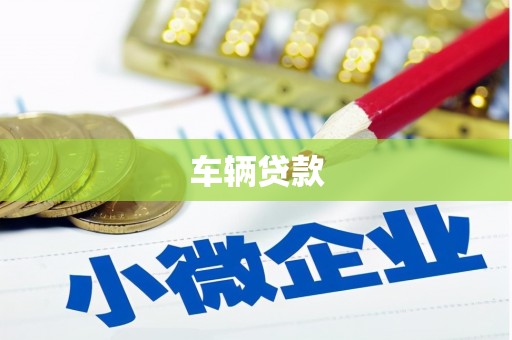海晏车辆贷款