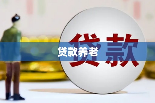 海晏贷款养老