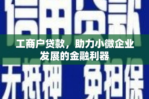 海晏工商户贷款，助力小微企业发展的金融利器