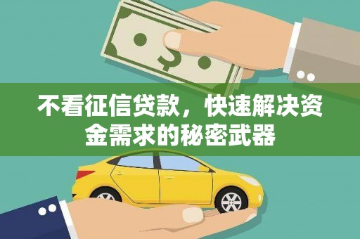 海晏不看征信贷款，快速解决资金需求的秘密武器