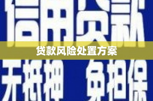 海晏贷款风险处置方案