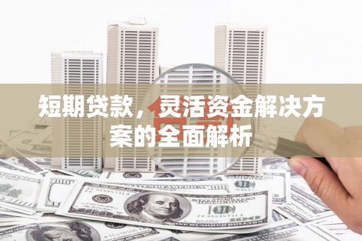 海晏短期贷款，灵活资金解决方案的全面解析