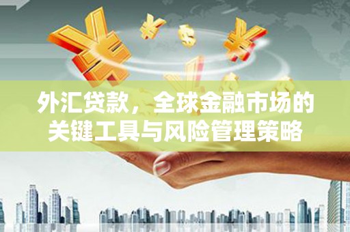 海晏外汇贷款，全球金融市场的关键工具与风险管理策略