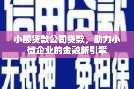 海晏小额贷款公司贷款，助力小微企业的金融新引擎