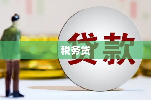海晏税务贷