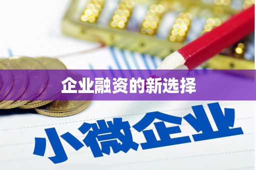 海晏企业融资的新选择