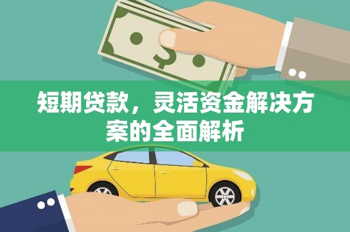 海晏短期贷款，灵活资金解决方案的全面解析