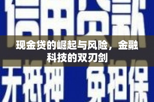 海晏现金贷的崛起与风险，金融科技的双刃剑