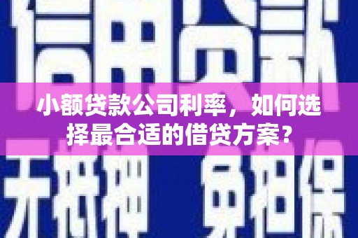 海晏小额贷款公司利率，如何选择最合适的借贷方案？