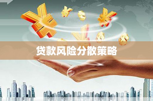 海晏贷款风险分散策略