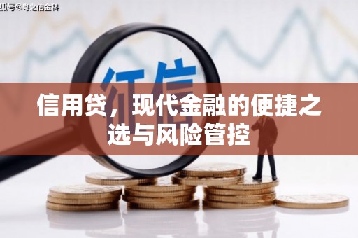 海晏信用贷，现代金融的便捷之选与风险管控