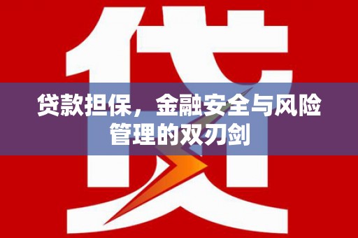 海晏贷款担保，金融安全与风险管理的双刃剑