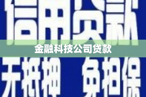 海晏金融科技公司贷款