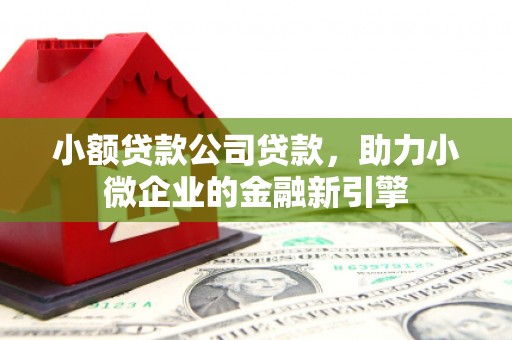 海晏小额贷款公司贷款，助力小微企业的金融新引擎