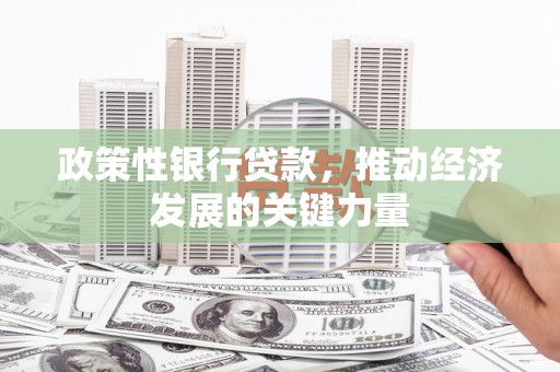 海晏政策性银行贷款，推动经济发展的关键力量