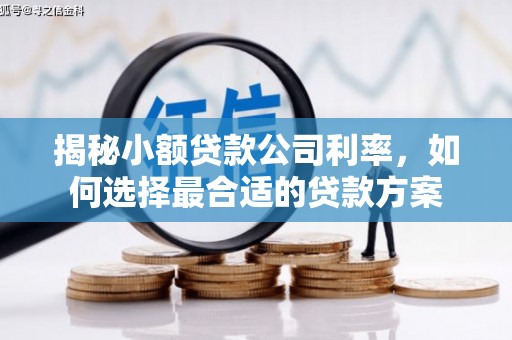 海晏揭秘小额贷款公司利率，如何选择最合适的贷款方案