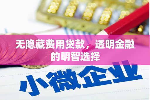海晏无隐藏费用贷款，透明金融的明智选择