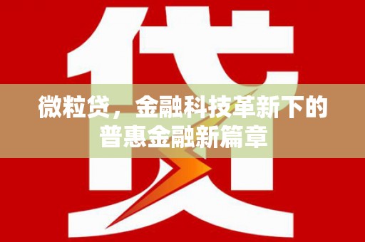 海晏微粒贷，金融科技革新下的普惠金融新篇章