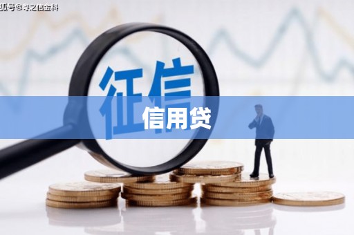 海晏信用贷