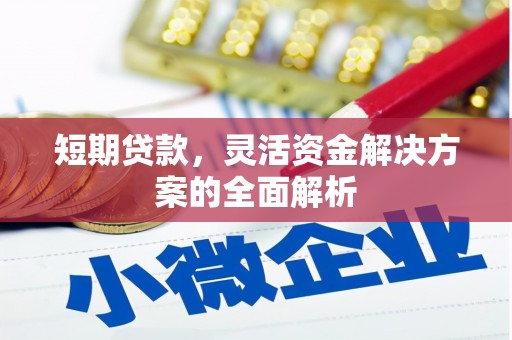 海晏短期贷款，灵活资金解决方案的全面解析