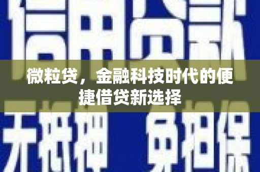 海晏微粒贷，金融科技时代的便捷借贷新选择