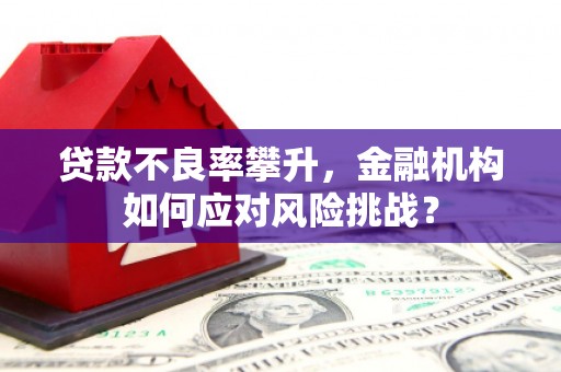 海晏贷款不良率攀升，金融机构如何应对风险挑战？