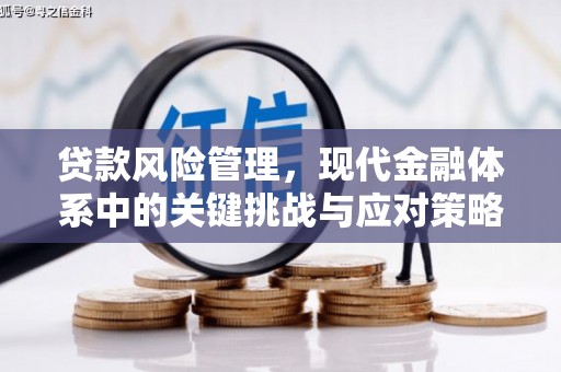 海晏贷款风险管理，现代金融体系中的关键挑战与应对策略