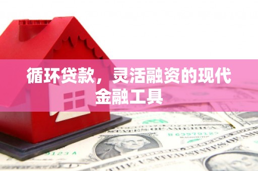海晏循环贷款，灵活融资的现代金融工具
