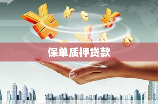 海晏保单质押贷款