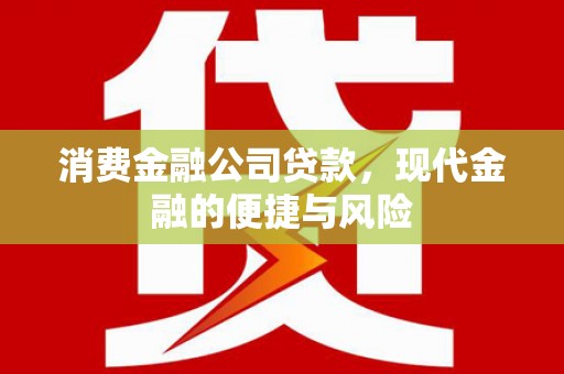 海晏消费金融公司贷款，现代金融的便捷与风险
