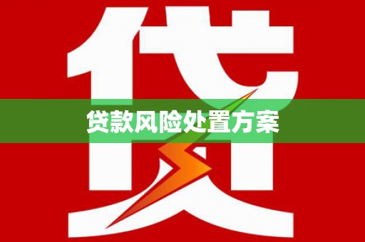 海晏贷款风险处置方案