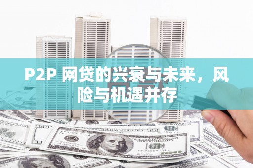海晏P2P 网贷的兴衰与未来，风险与机遇并存