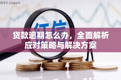 海晏贷款逾期怎么办，全面解析应对策略与解决方案