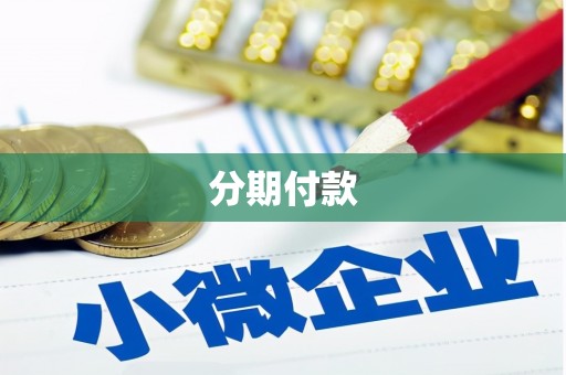 海晏分期付款