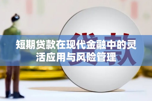 海晏短期贷款在现代金融中的灵活应用与风险管理