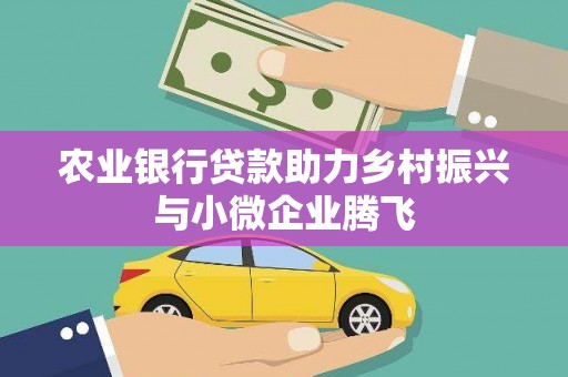 海晏农业银行贷款助力乡村振兴与小微企业腾飞