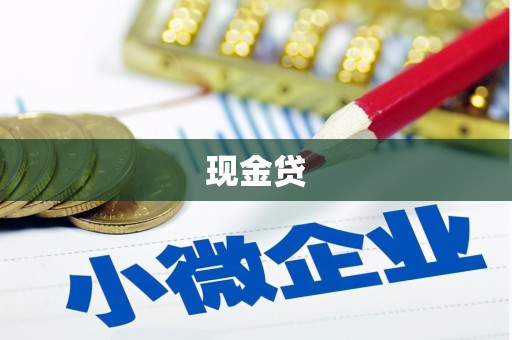海晏现金贷